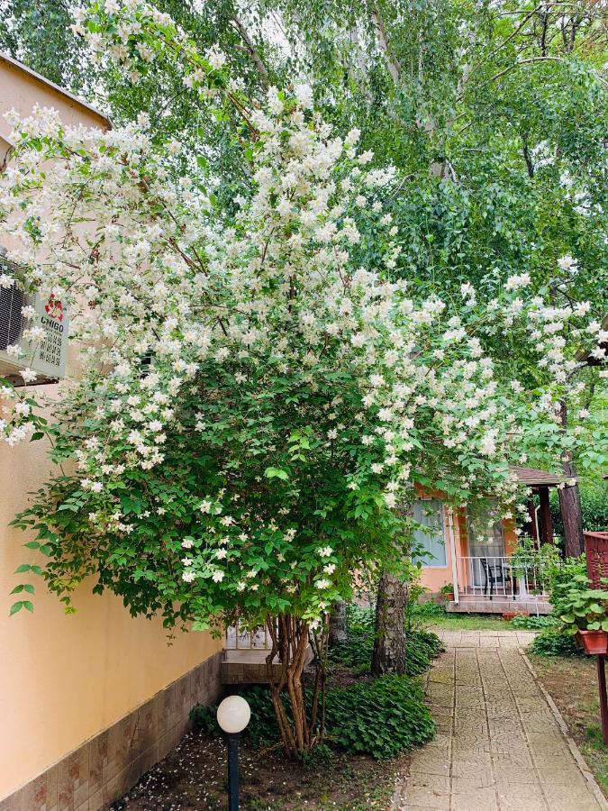 Holiday Village Interpark Kranevo Dış mekan fotoğraf